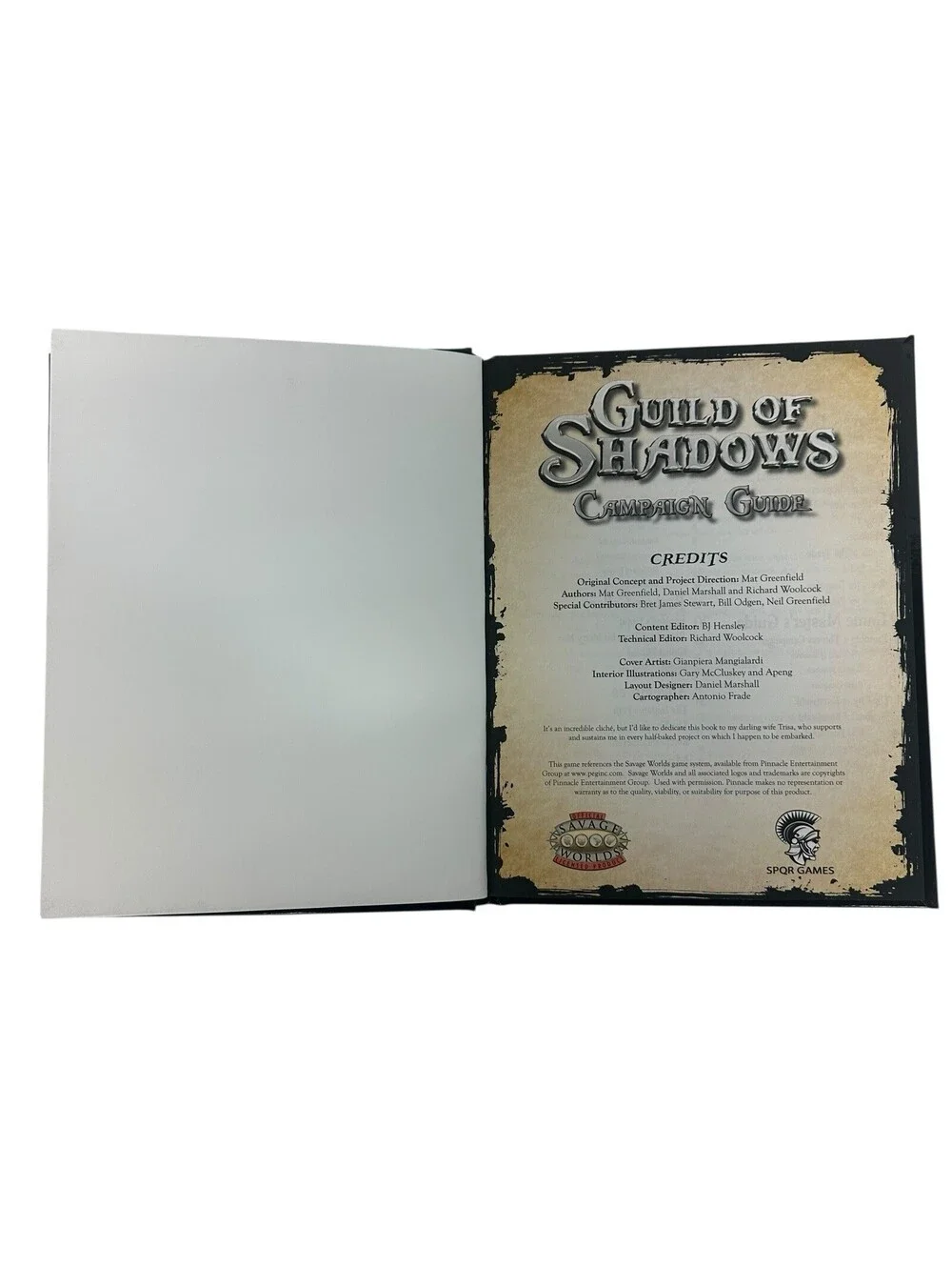 Guild of Shadows Campaign Guide (Hardcover) VG+/NM